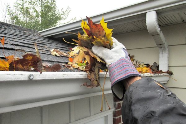 Eaves Cleaning in Herndon