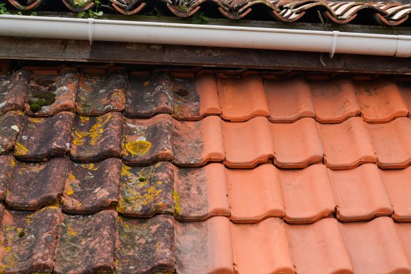 Industrial Roof Cleaning in Herndon